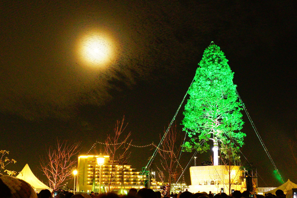 世界一のクリスマスツリー点燈式