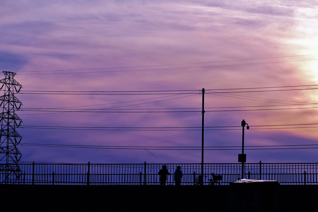 夕景に見入る