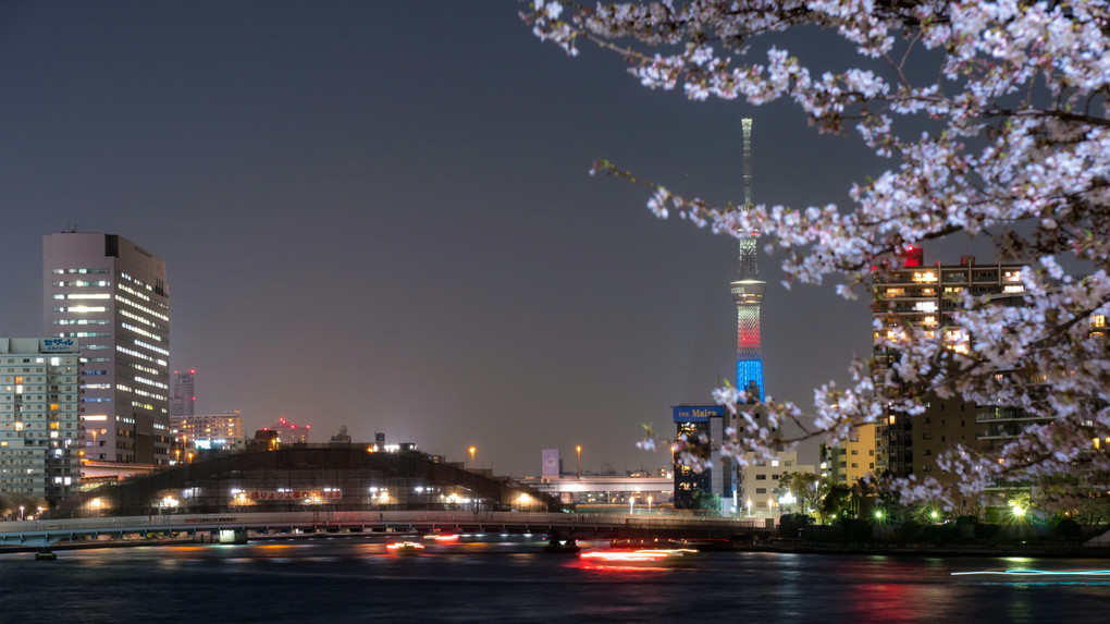 東京の春　夜