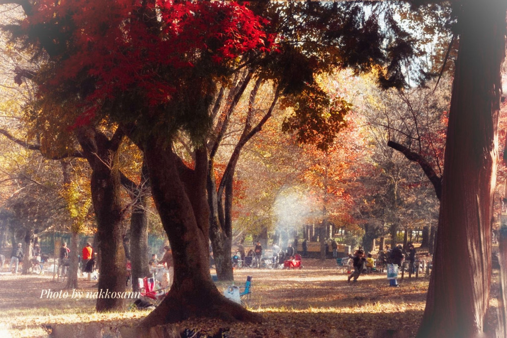 秋の情景