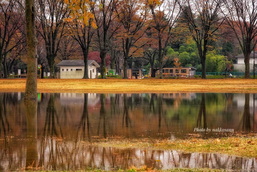幻の池の風景