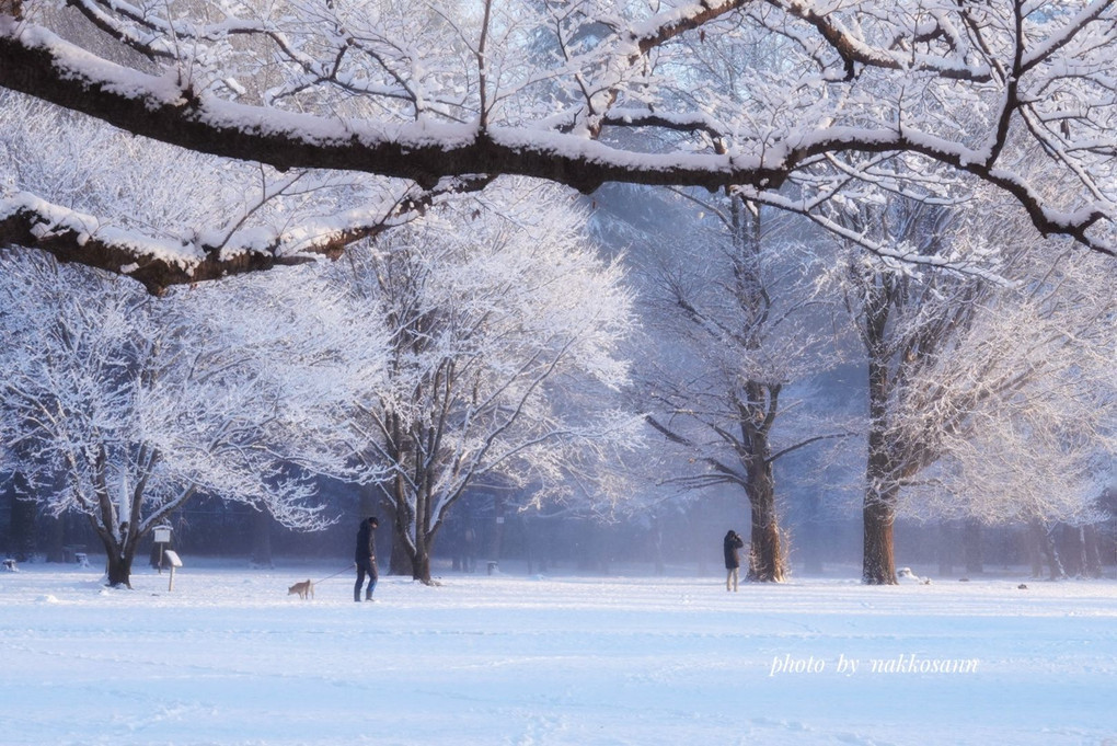 雪の朝に