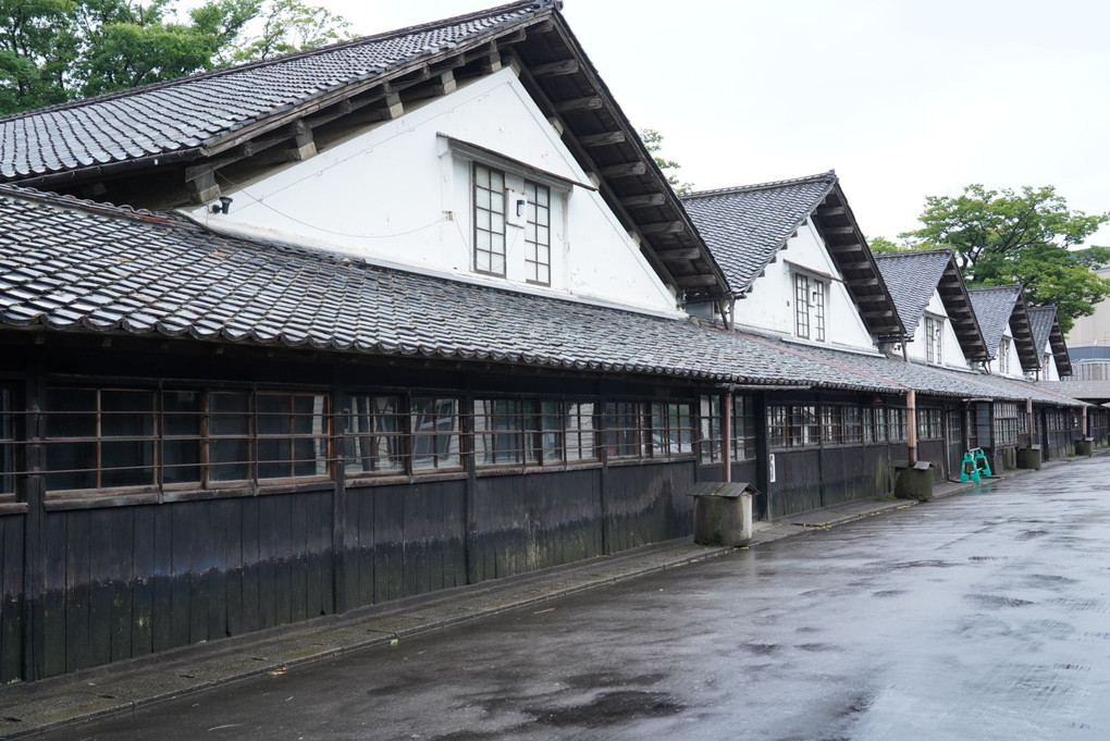 雨の情景