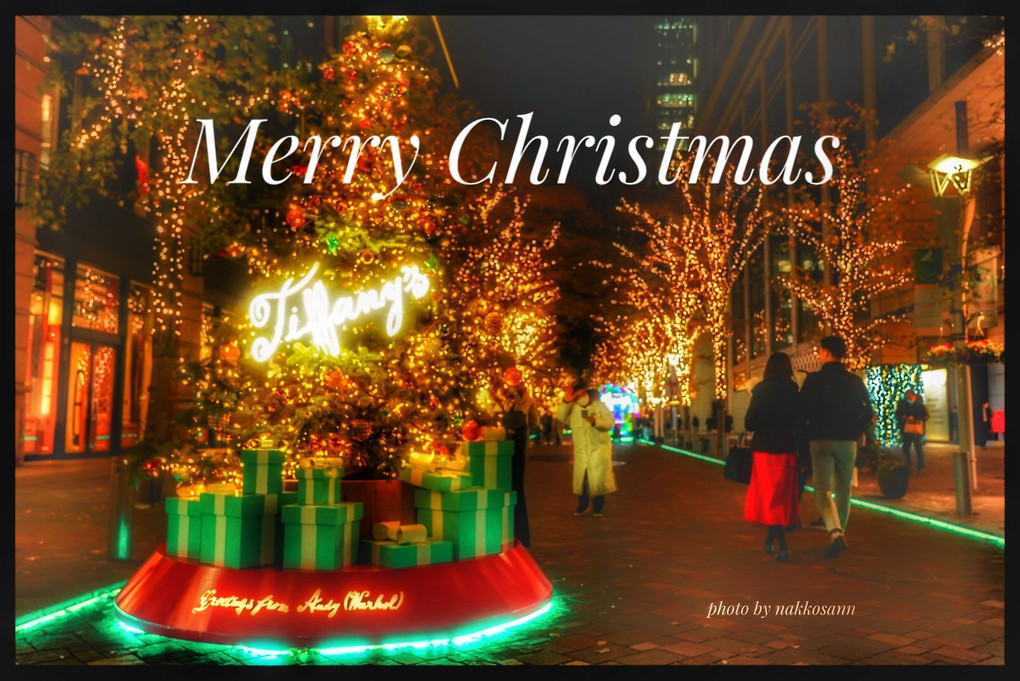 Merry Christmas 🎁🎄 華やかな街