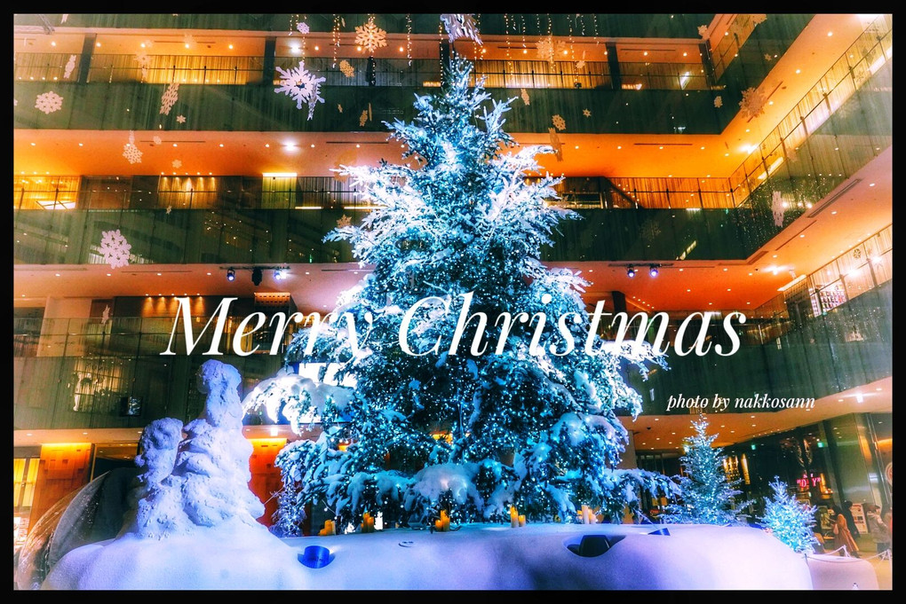 Merry Christmas 🎁🎄 華やかな街