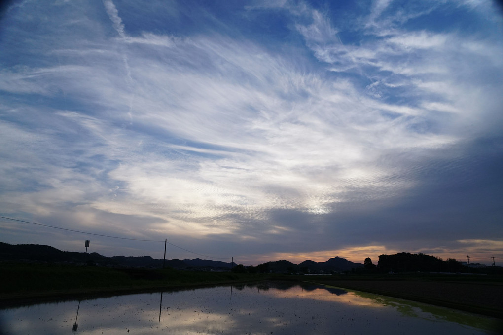 田植え前の夕景