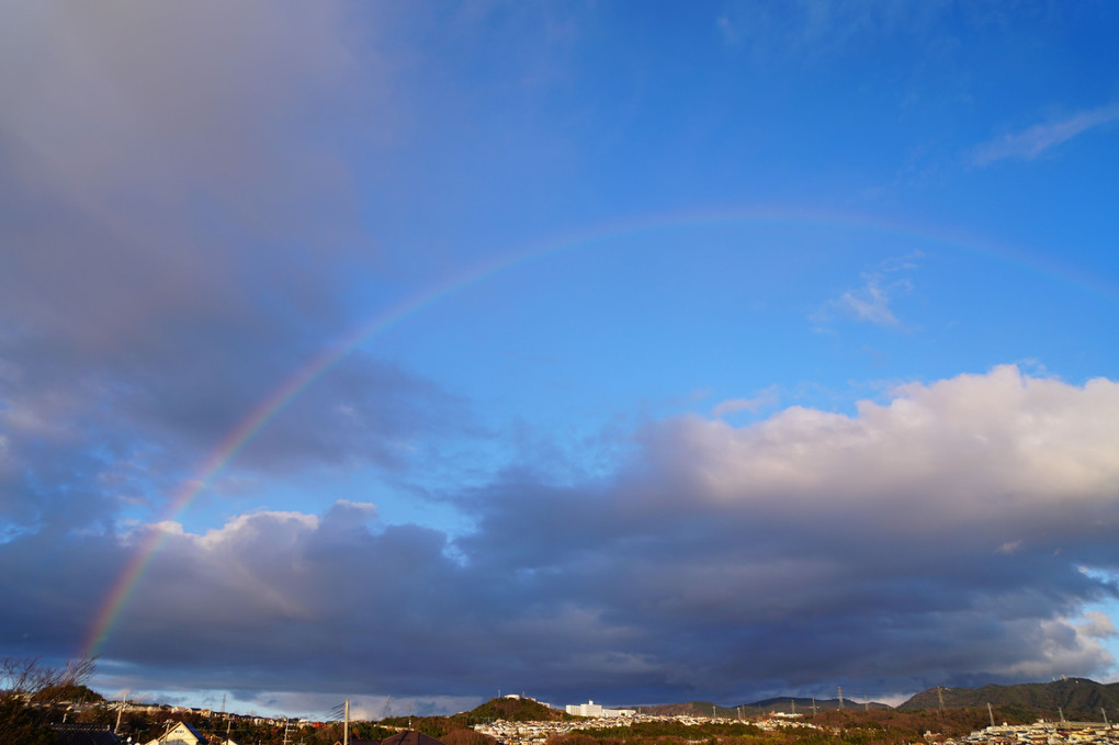 雨上がりの虹　🌈