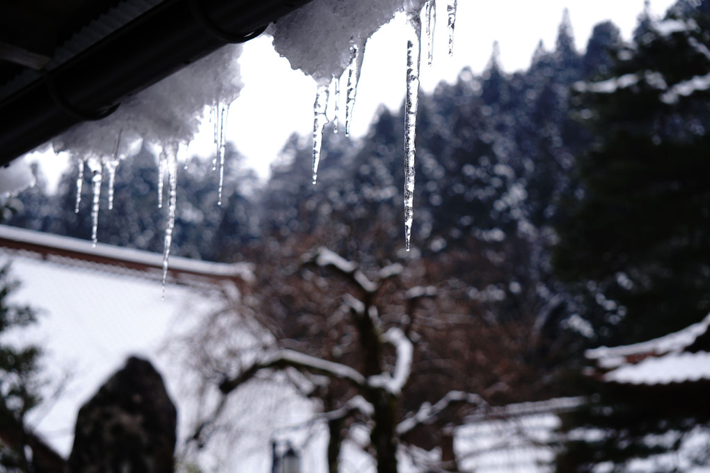 もう一度見たい雪景色　☃　