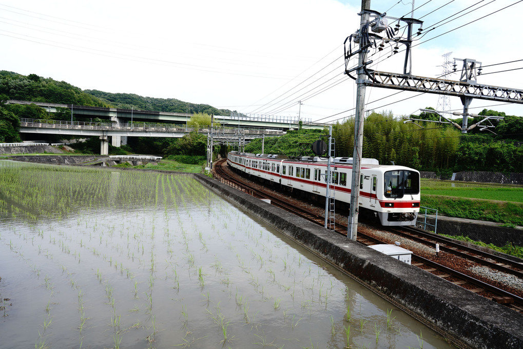 初夏の中を走る　🚃