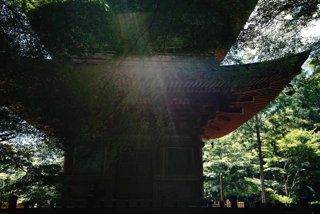 石峯寺の緑