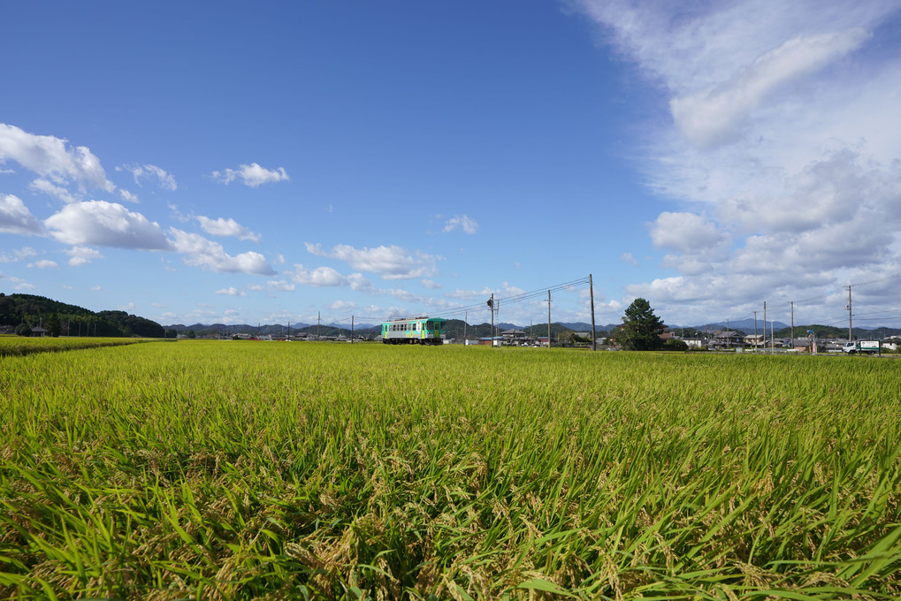 秋の一日