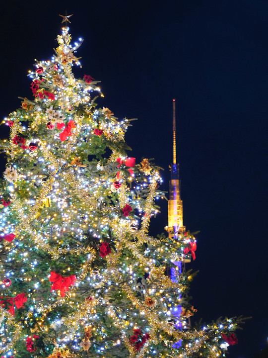 名古屋「SKEのクリスマスイルミネーション」