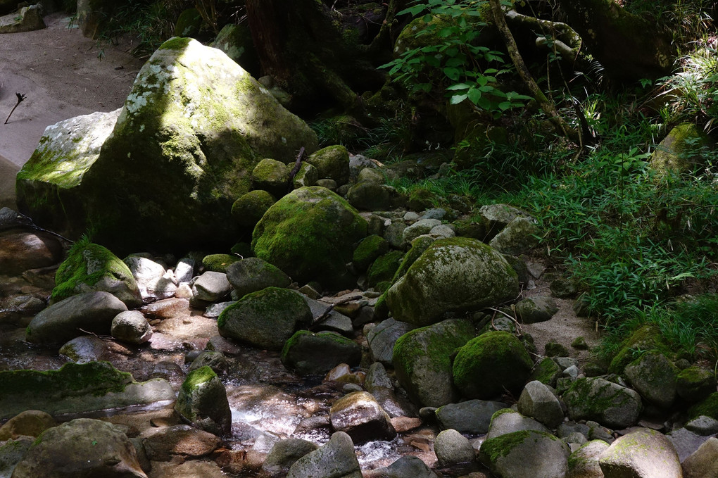 花園渓谷：茨城県高萩市