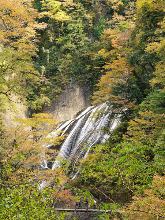 袋田の滝：茨城県大子町
