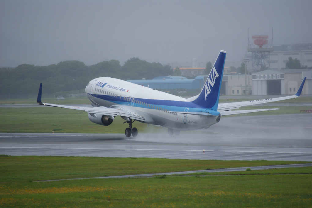 α体験会 - 伊丹スカイパークで旅客機を撮る -（ANA編）