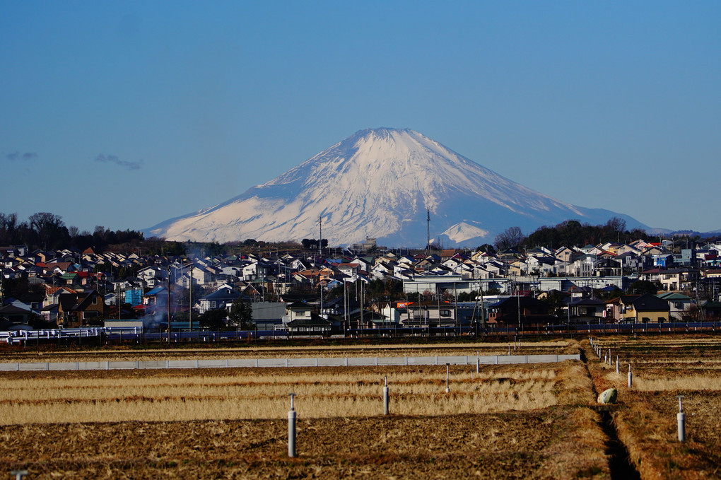白さ増した富士山