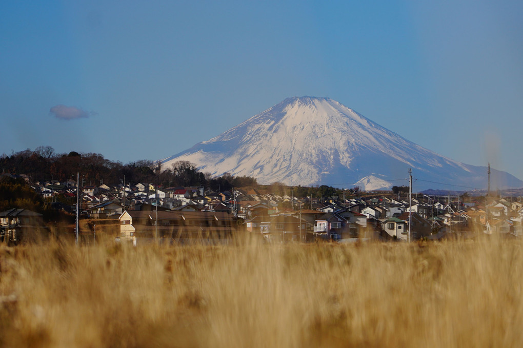 白さ増した富士山