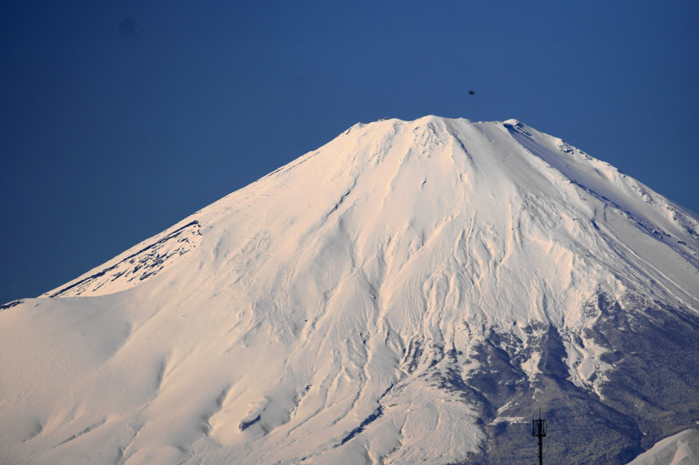 雪衣の富士山