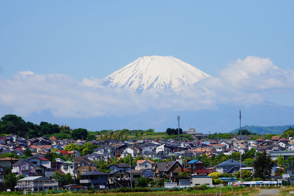 冠雪の富士山