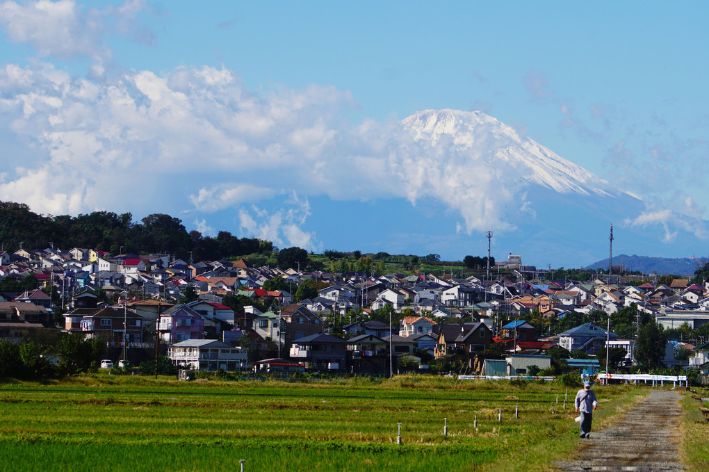 富士山　雪化粧