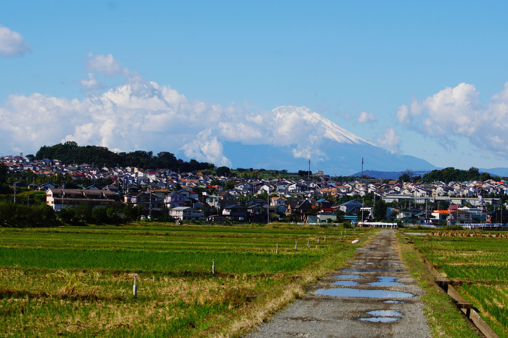 富士山　雪化粧