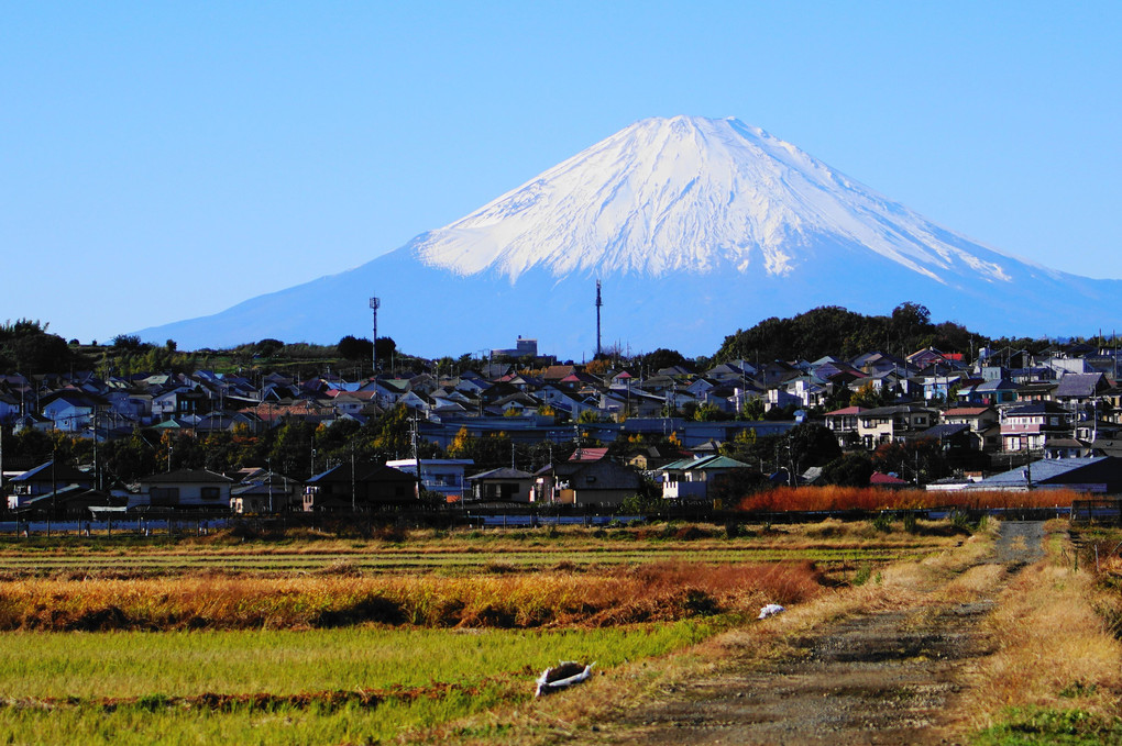 晩秋の富士山　#カレンダー2024