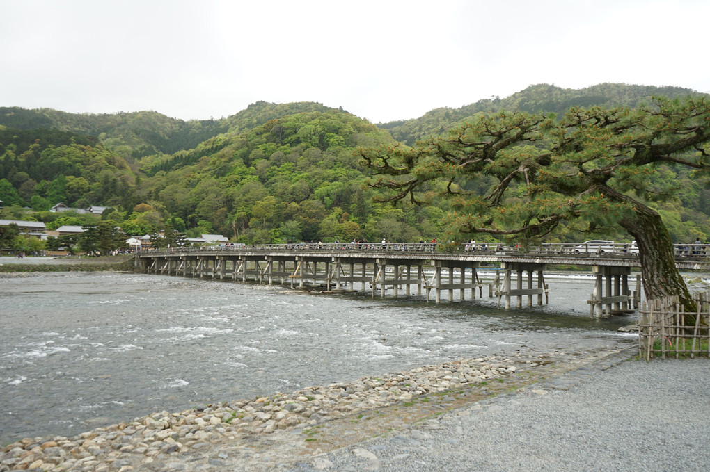 渡月橋（京都）