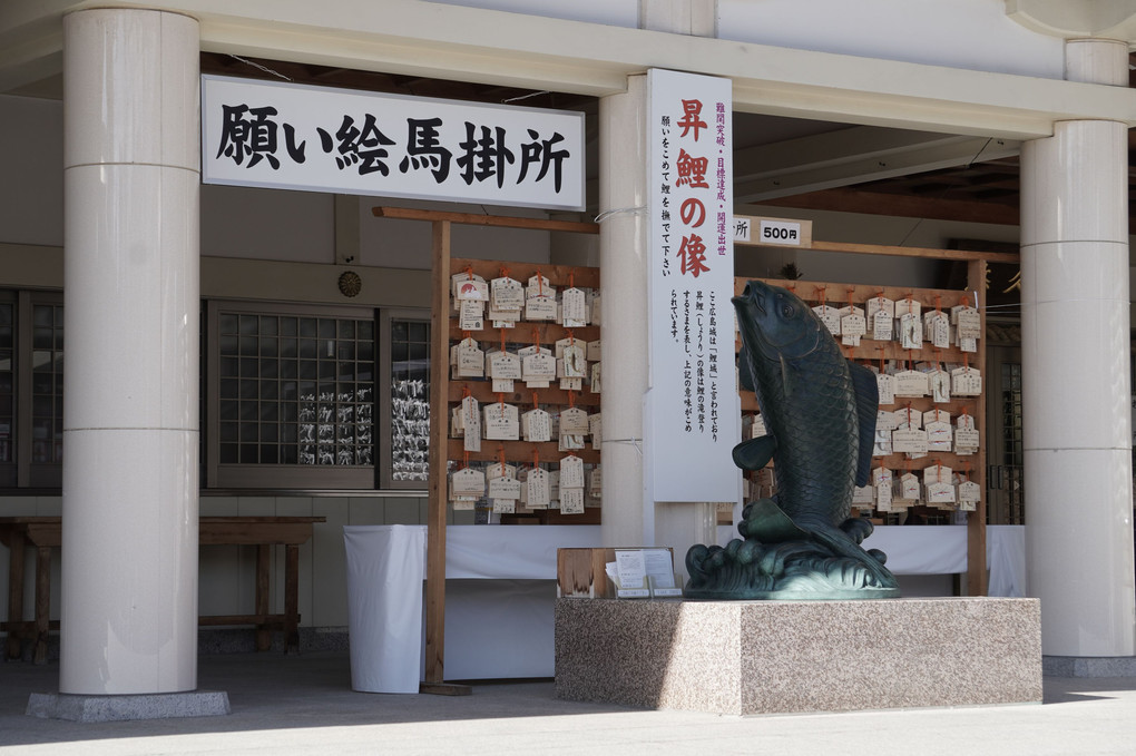 広島護国神社⛩へ・・今年初撮りです。