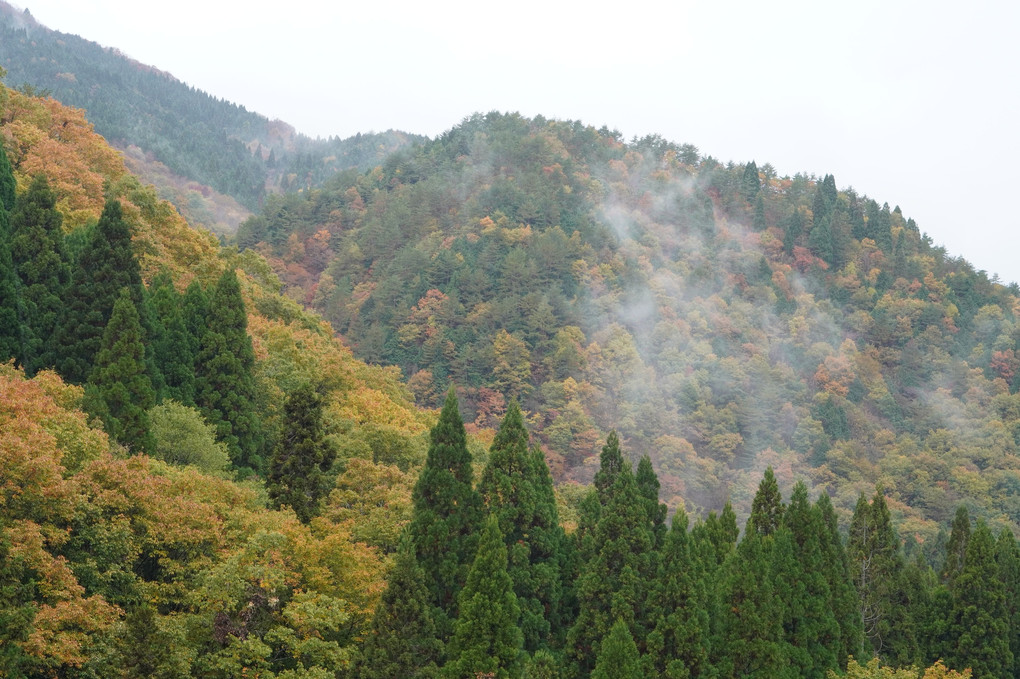 広島県山県郡北広島町(旧芸北町)の紅葉