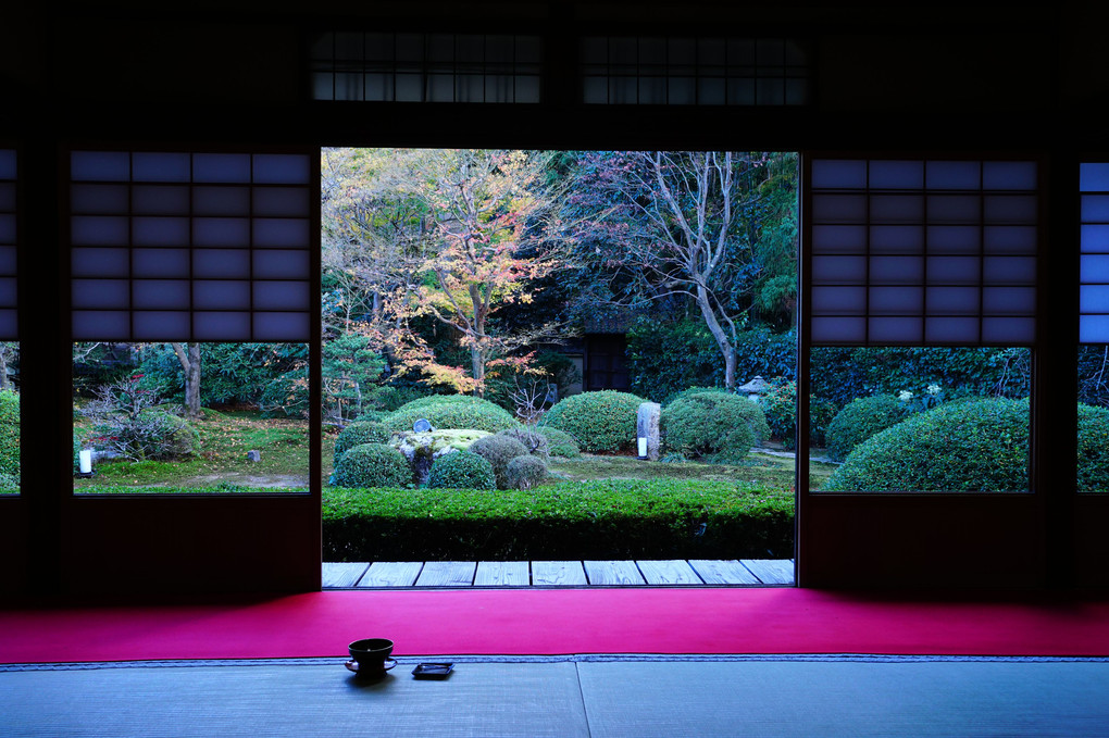 晩秋の京都