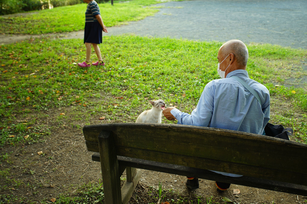 人、猫、光のある公園　好きです(^^)