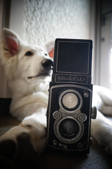 ROLLEIFLEX　レンズ越しに見る風景