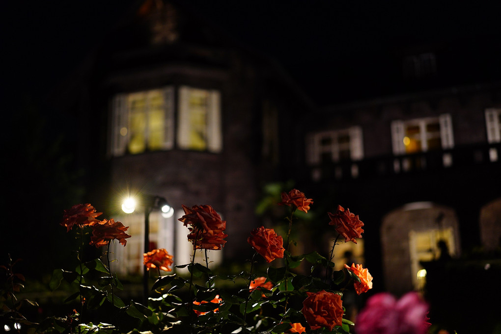 薔薇屋敷の夜