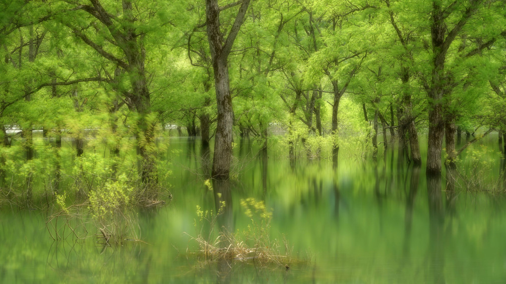 山形・白川湖にて