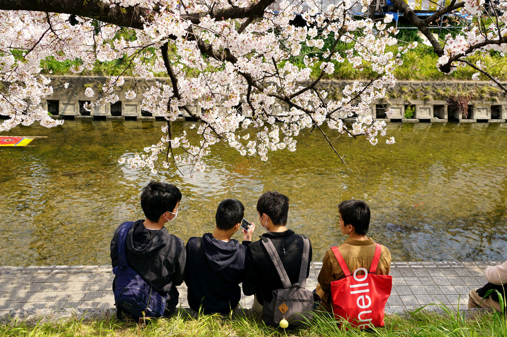 岩倉五条川にて