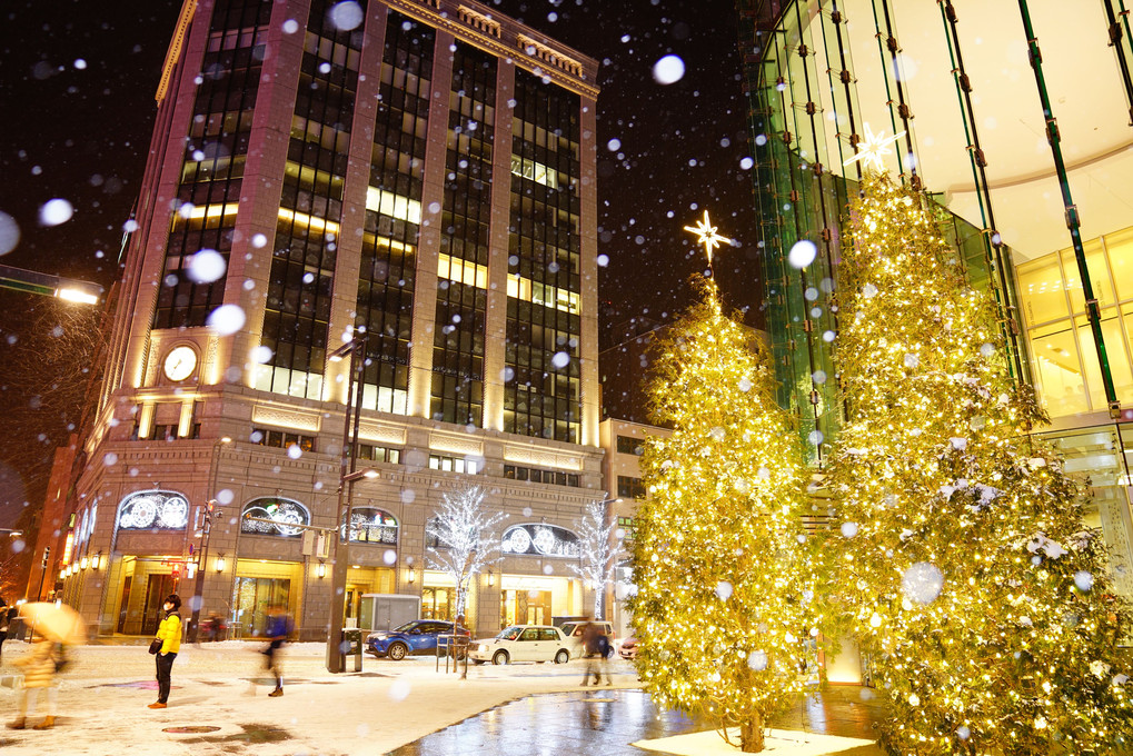 sparkling lights of Sapporo♪