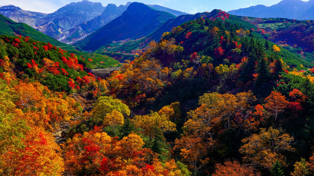 山に秋色が染みこむ頃