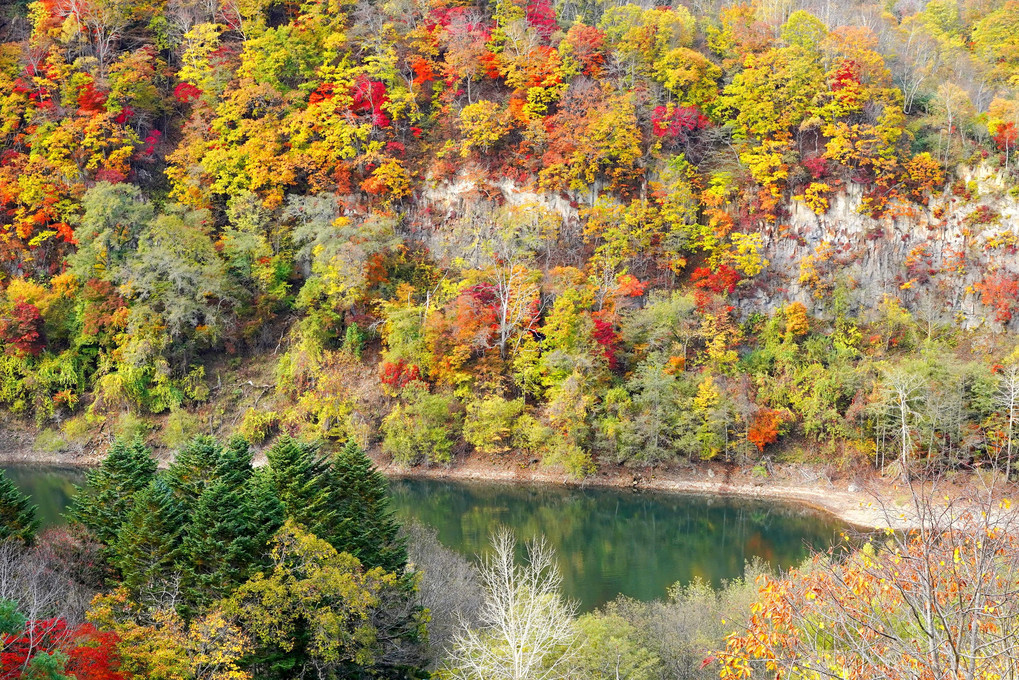 渓谷の紅葉～10月