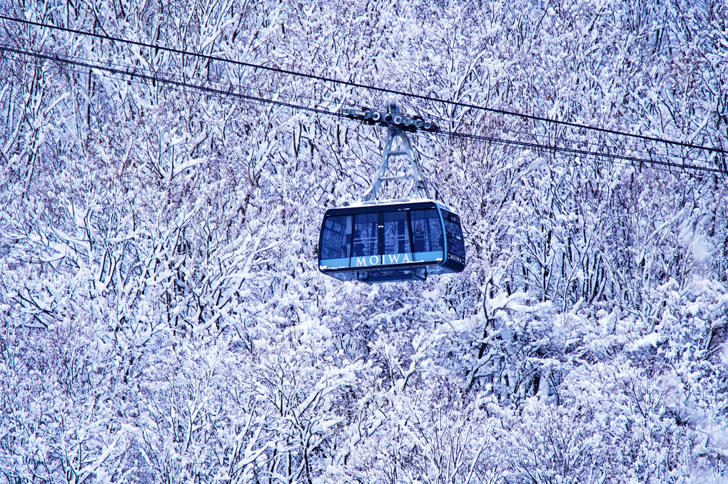 雪の花が咲いた日