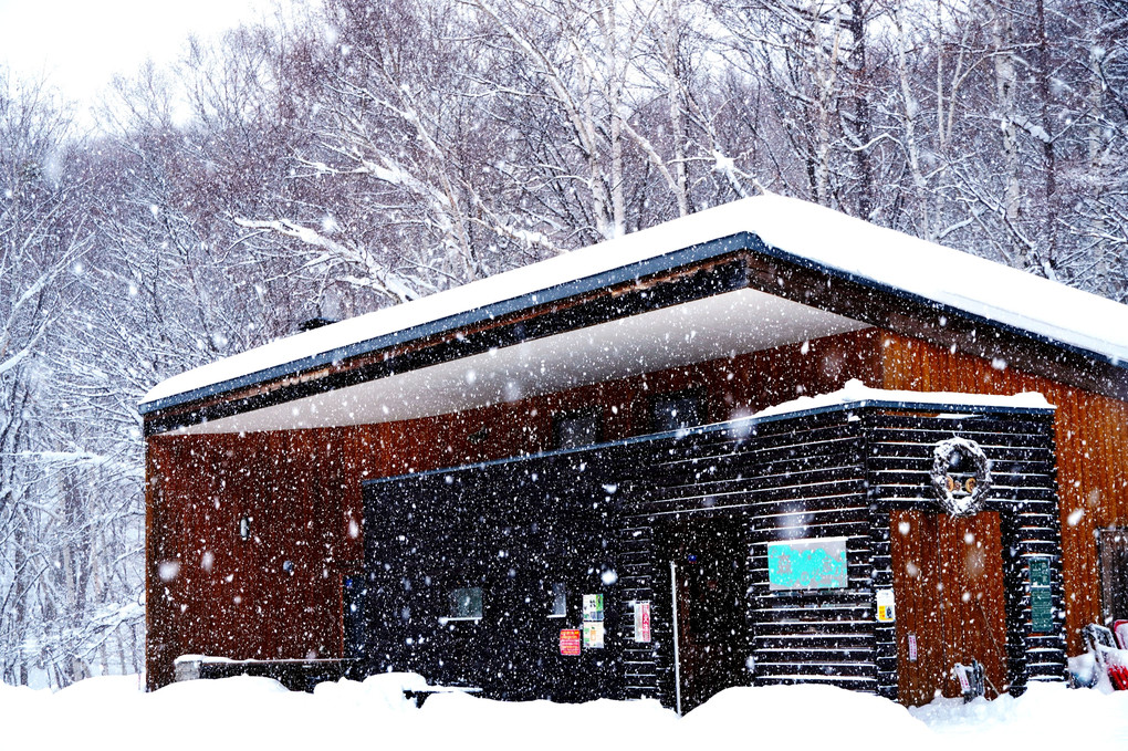 森の家に雪が降る