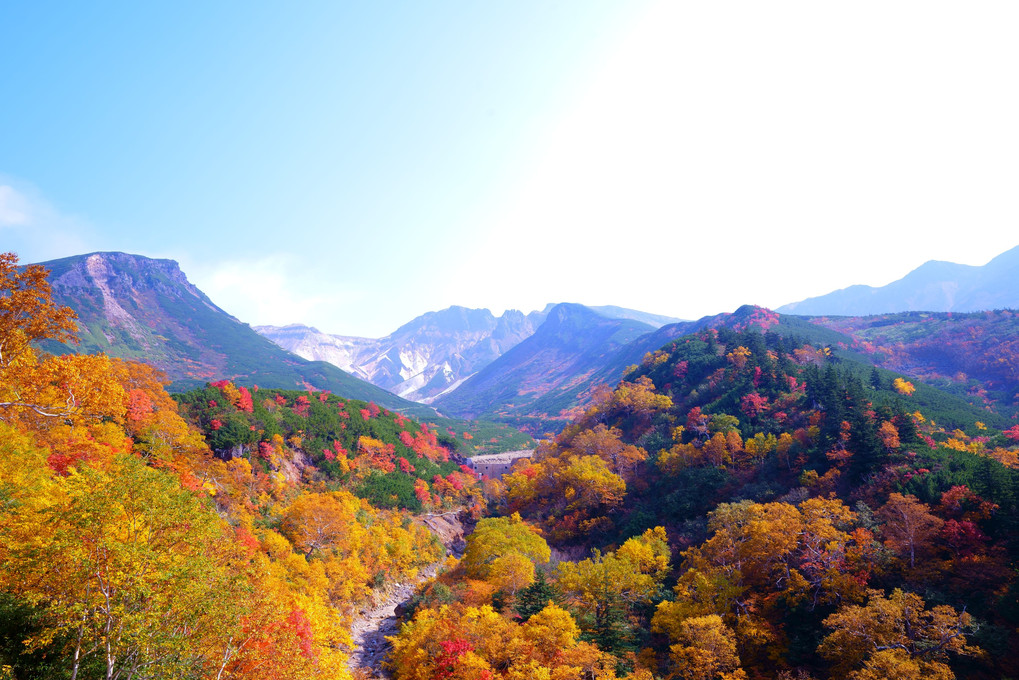 十勝岳温泉から眺める紅葉