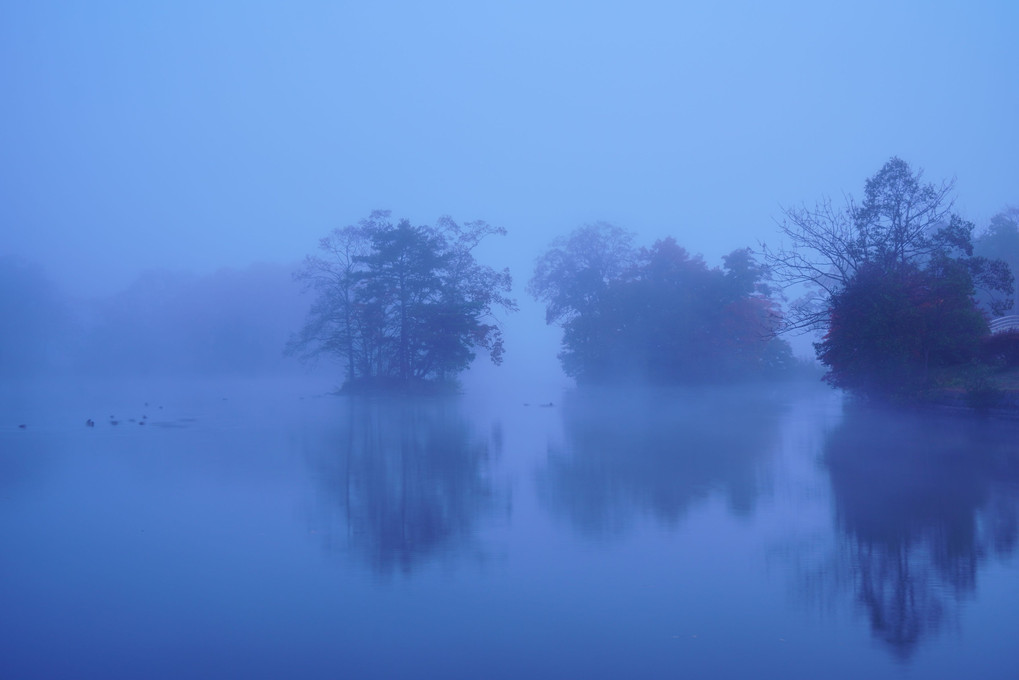 大沼公園　濃霧の朝
