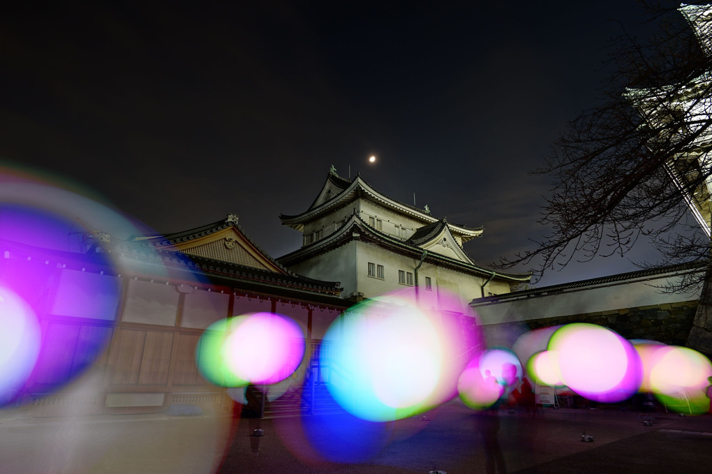 名古屋城の夜