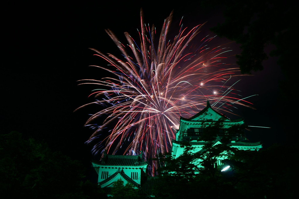 岡崎の　城に咲く花　夏花火