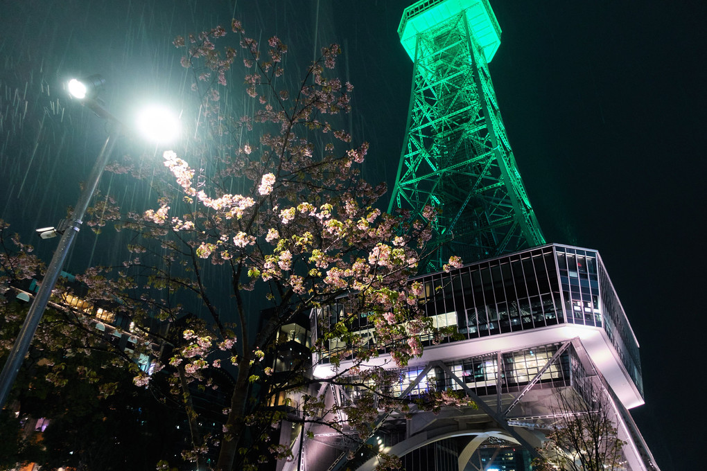 名古屋テレビ塔の夜