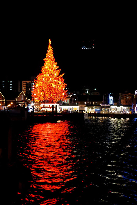 海上に浮かぶ巨大クリスマスツリー