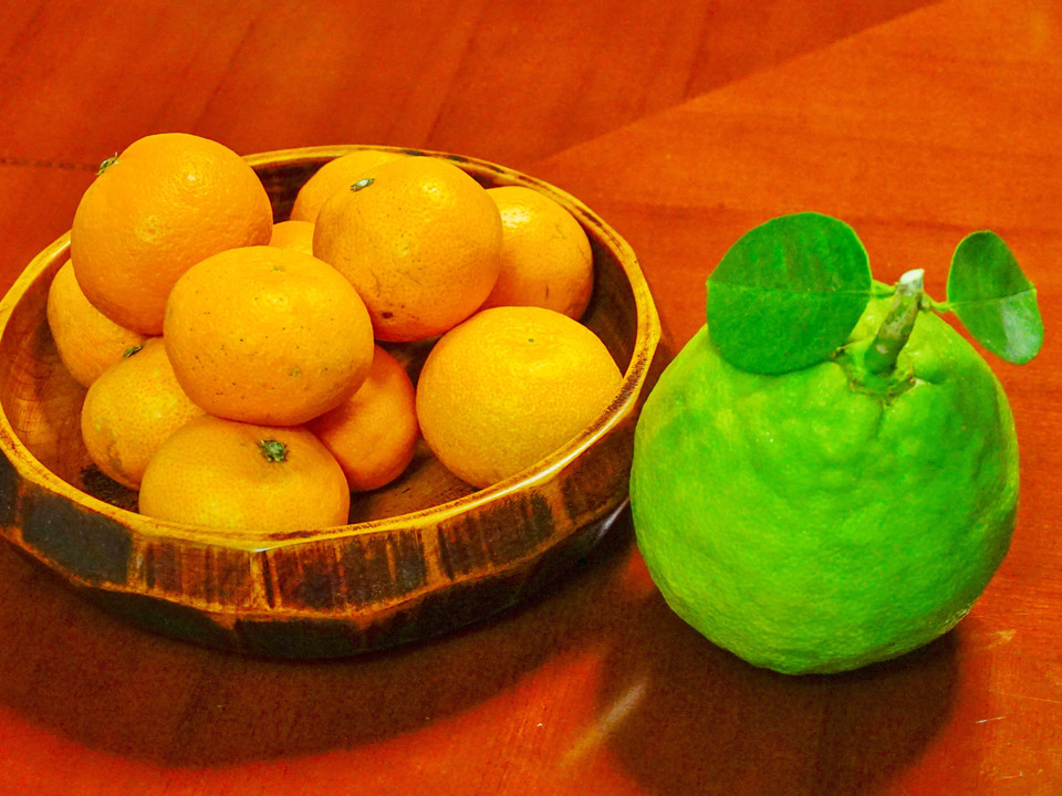 ジャンボレモン収穫(^o^)