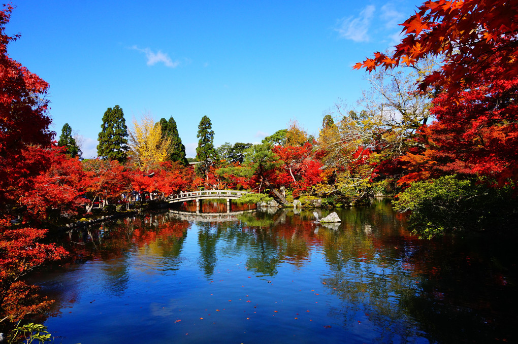 紅葉真っ盛り～永観堂