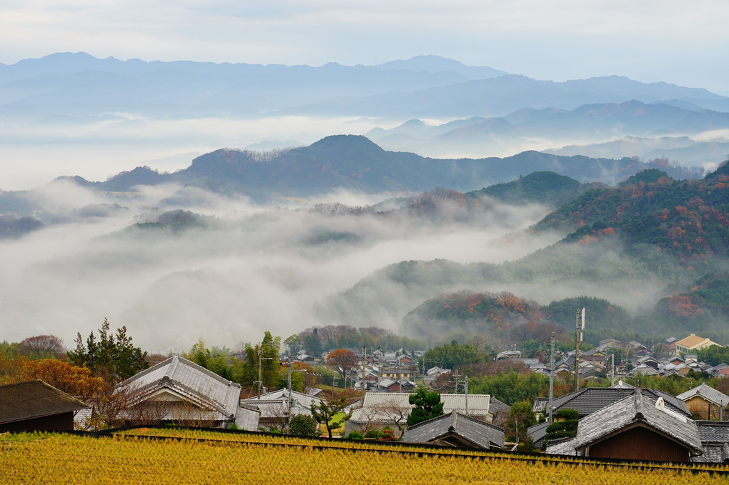 霧に包まれた朝