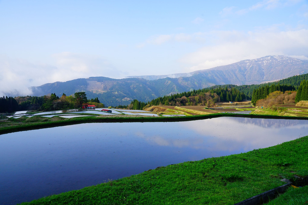 棚田の朝